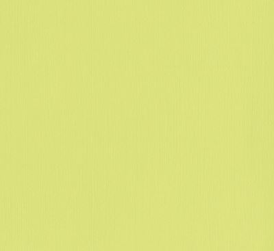 Ref. HUB11110509, Np10 bazzill papier scrap limeade