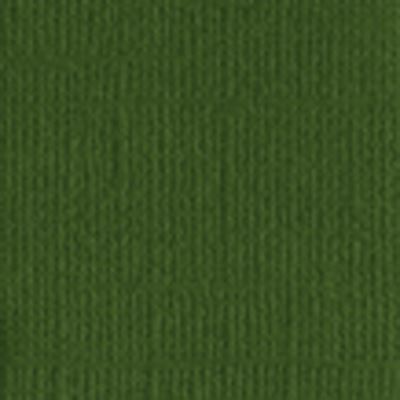 Ref. HUB11110589, Np10 bazzill papier scrap ivy