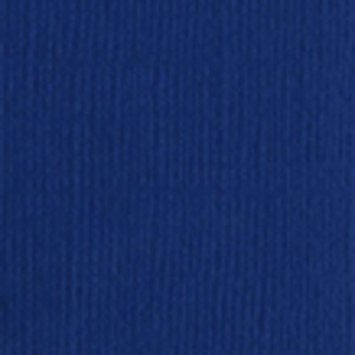 Ref. HUB11110708, Np10 bazzill papier scrap arctic