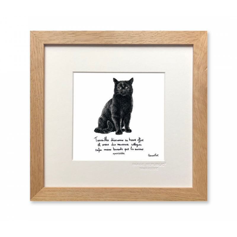 Image de  Affiche 22x22 cm edouard pont chat 