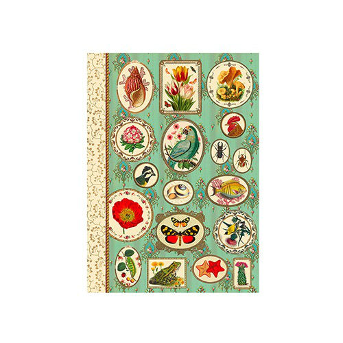 Image de  Carnet de mot de passes 10x15 48 pages nature 