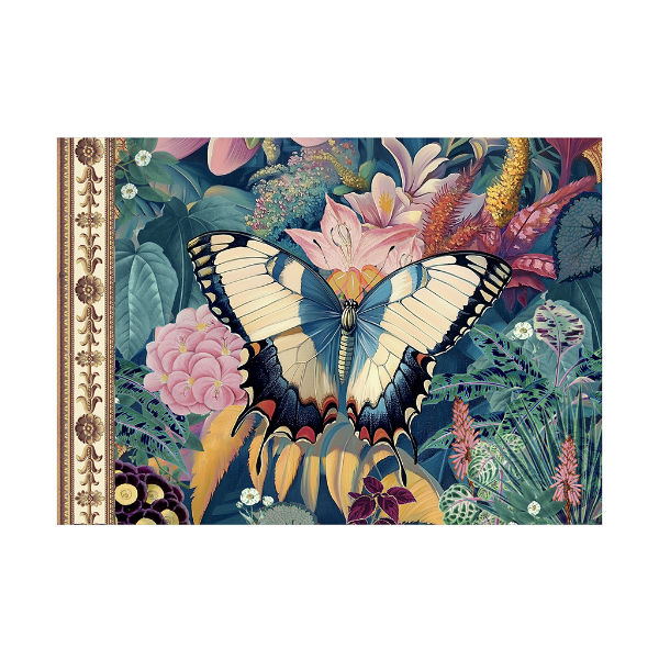 Image de  Cahier illustré 21x15 48 pages papillons 