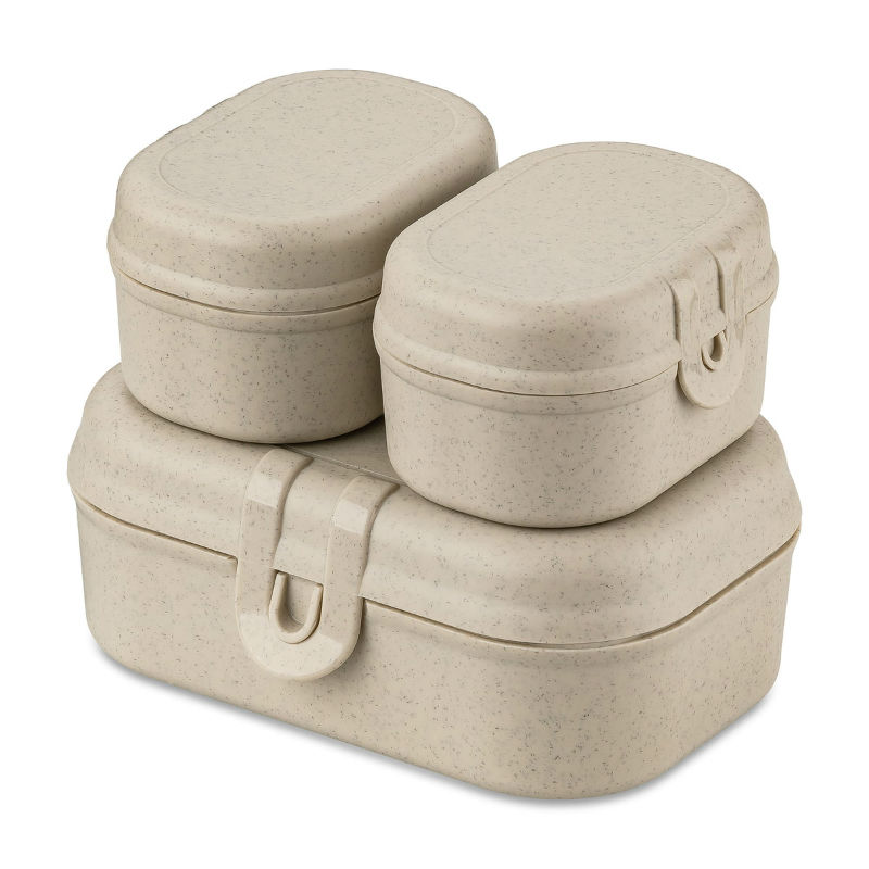 Image de  Mini lunchbox Pascal ready sable 
