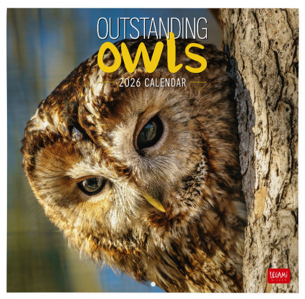 Image de  Calendrier 2026 - Animaux - hiboux 30x29 cm 