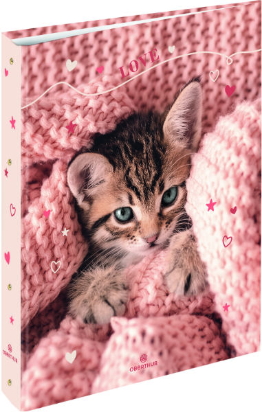 Image de  Classeur 4 anneaux carton chaton tendre 