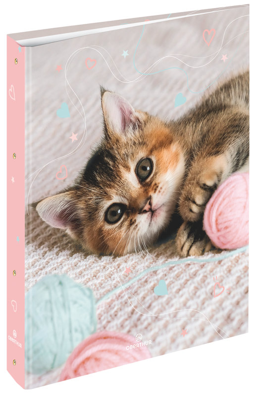 Image de  Classeur 4 anneaux carton Chaton tendre 