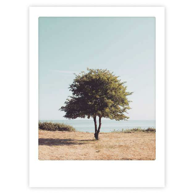 Image de  Affiche 40x30 se tenir droit 
