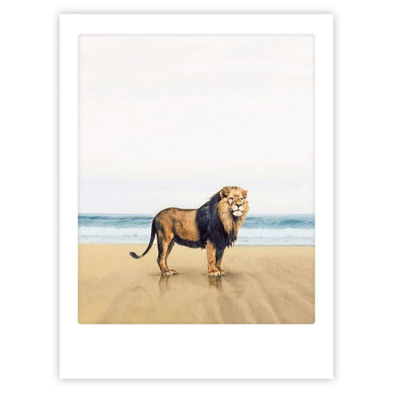 Image de  Affiche 40x30 le roi lion 