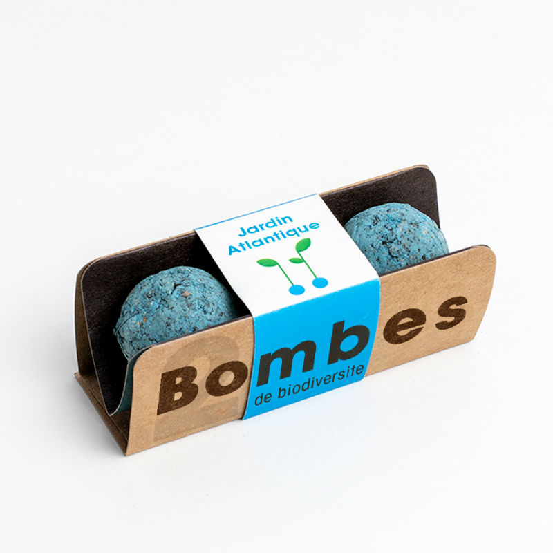 Image de  Bombes de biodiversité - Jardin Atlantique 