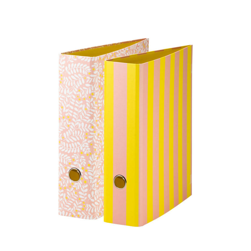 Image de  Classeur a levier dos 8.5cm sunny 
