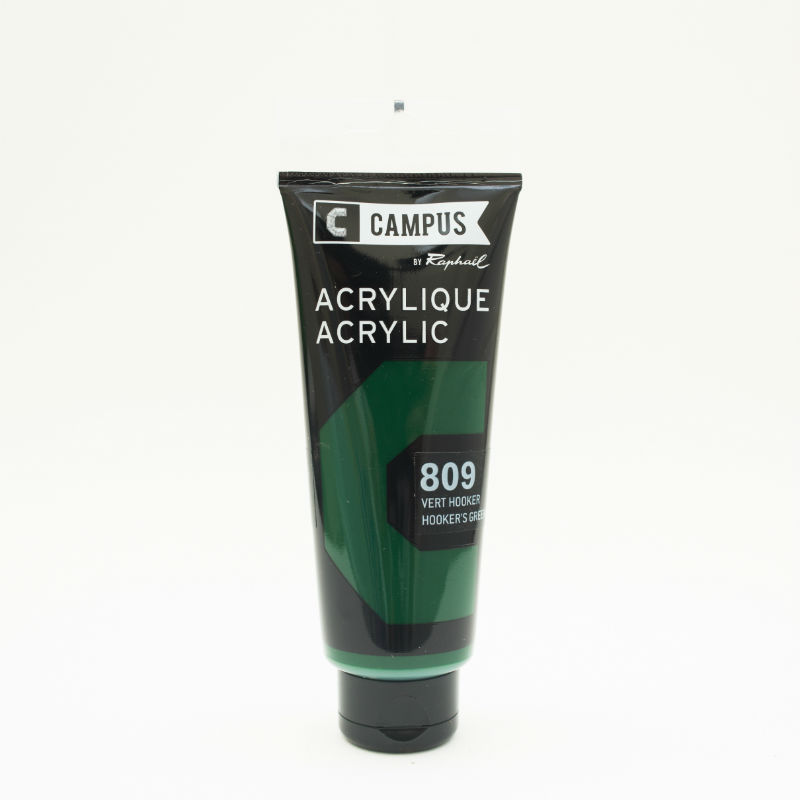 Image de  Tube 100 ml acrylique vert hooker 