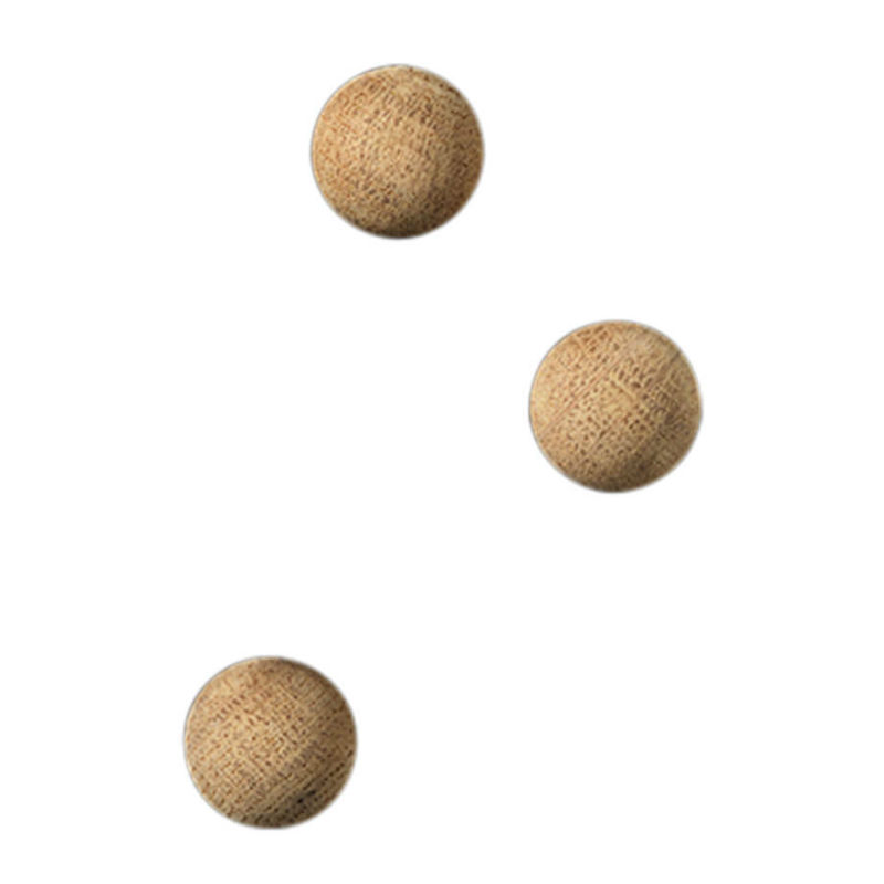 Image de  Blister 3 aimants bois super puissant Ø2 cm. 