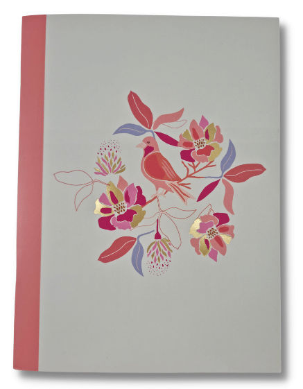 Image de  Cahier select ligné Rossignol 