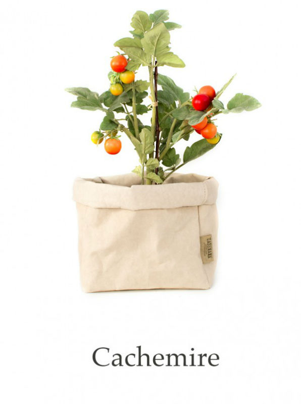 Image de  Paper bag large cachemire 