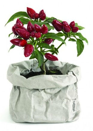 Image de  Paper bag medium grey 
