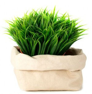 Image de  Paper bag small cachemire 