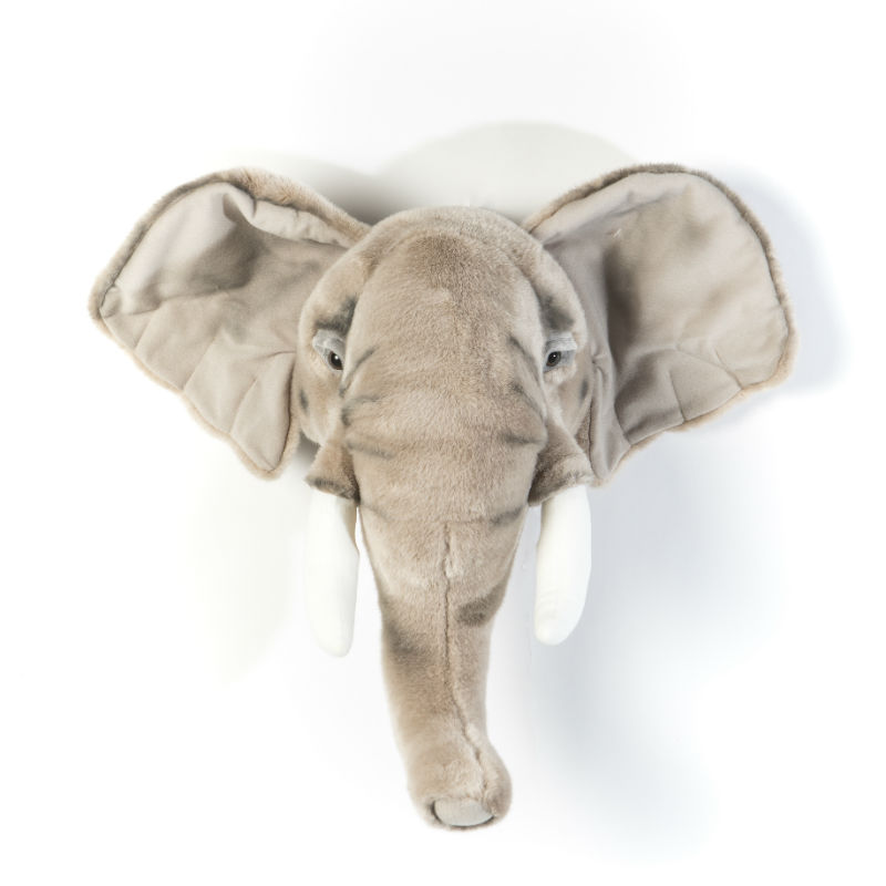 Image de  Tête éléphant George 